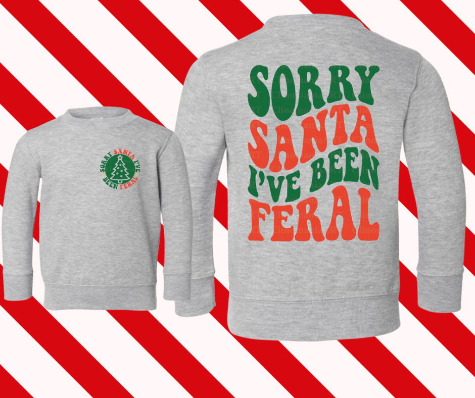 Sorry Santa | Grey Sweatshirt