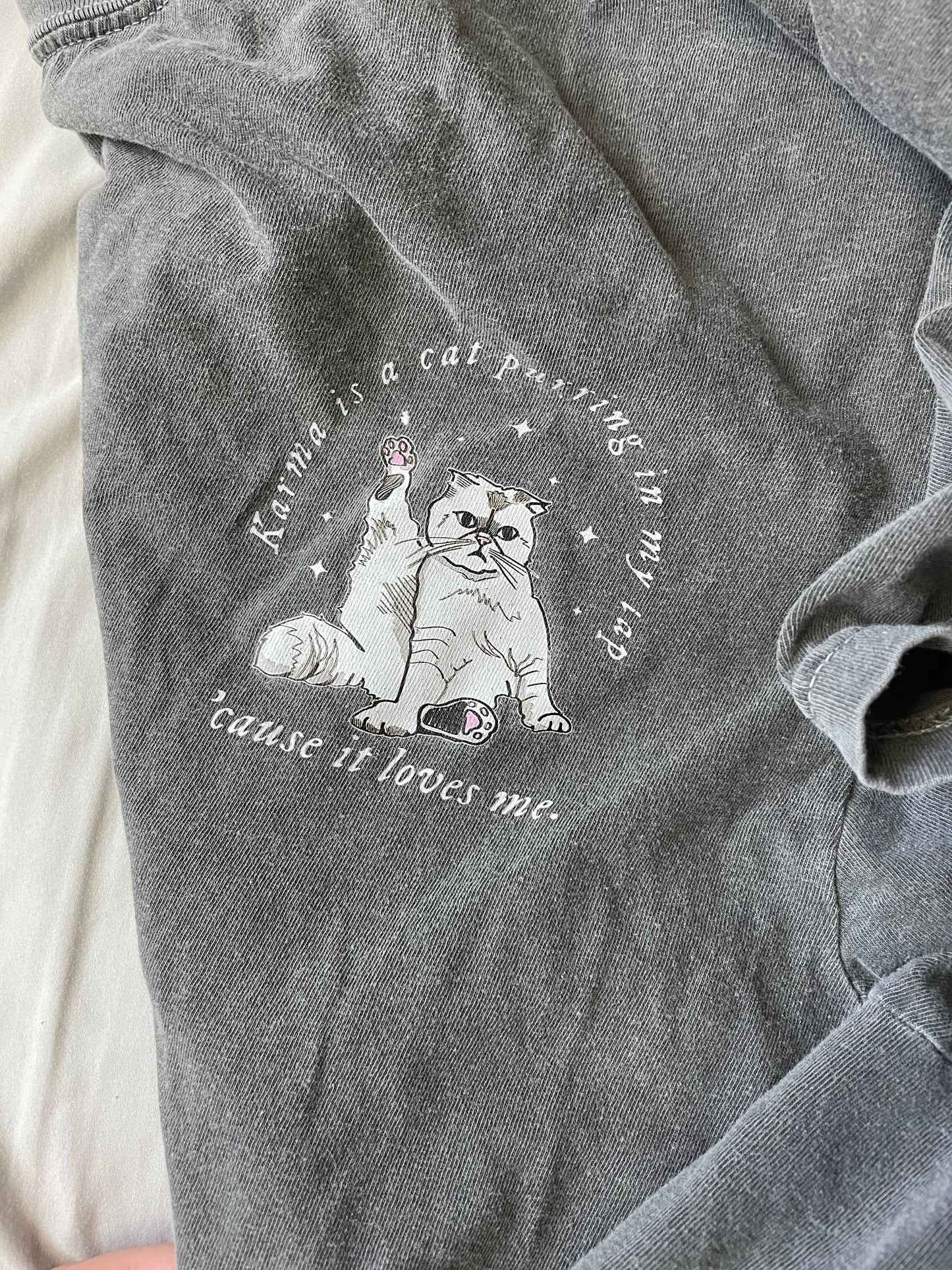 Taylor's Cat | Adult Comfort Color Tee-Charcoal